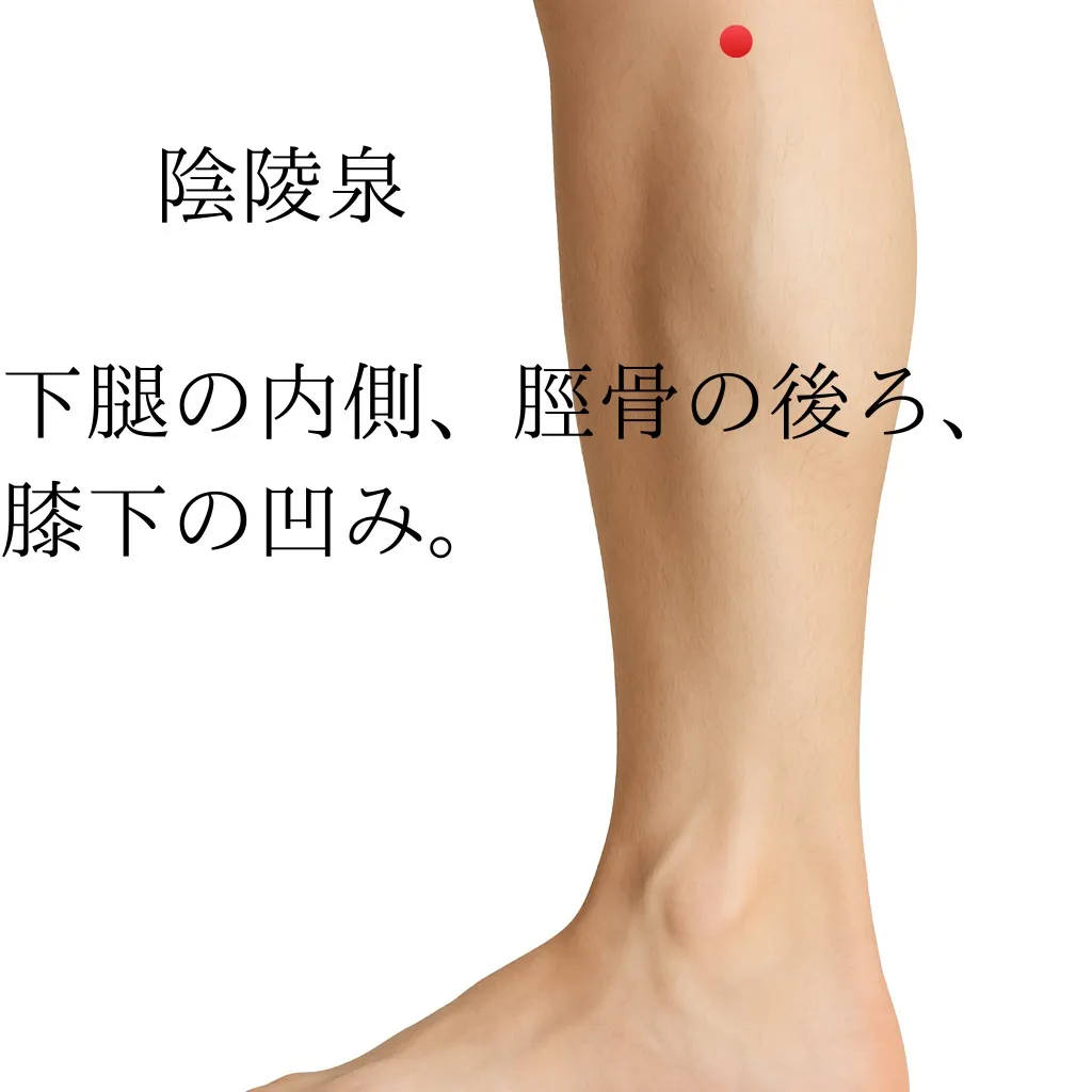 湿気による症状