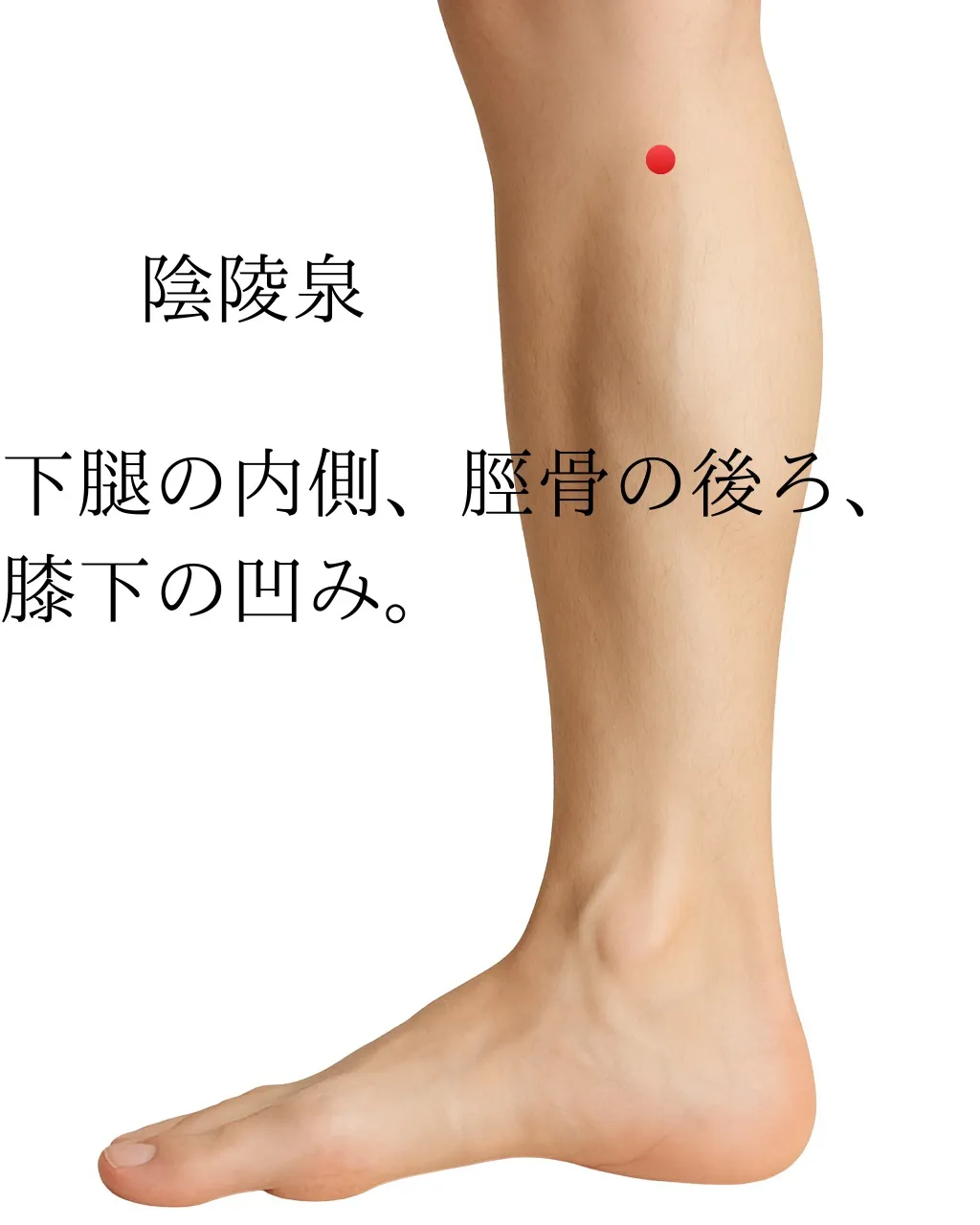 夏のむくみ改善