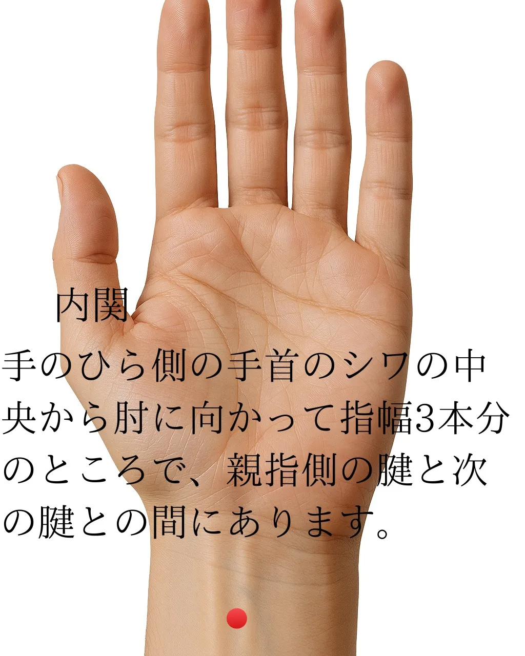 熱中症予防のツボ