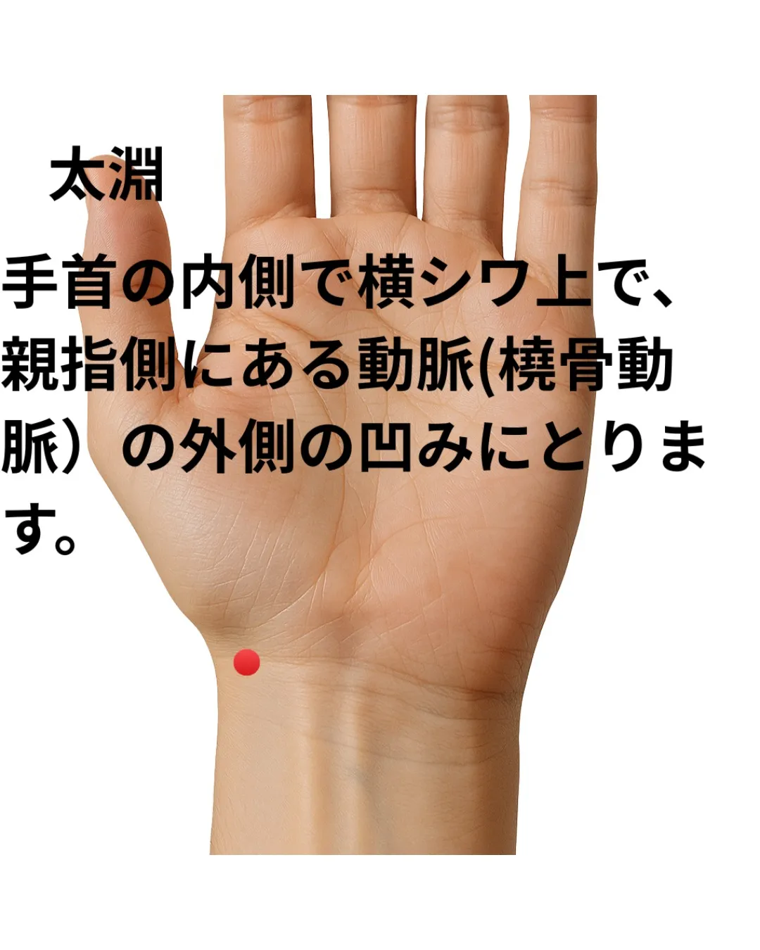 つらい気管支ぜんそくはなぜ起こる