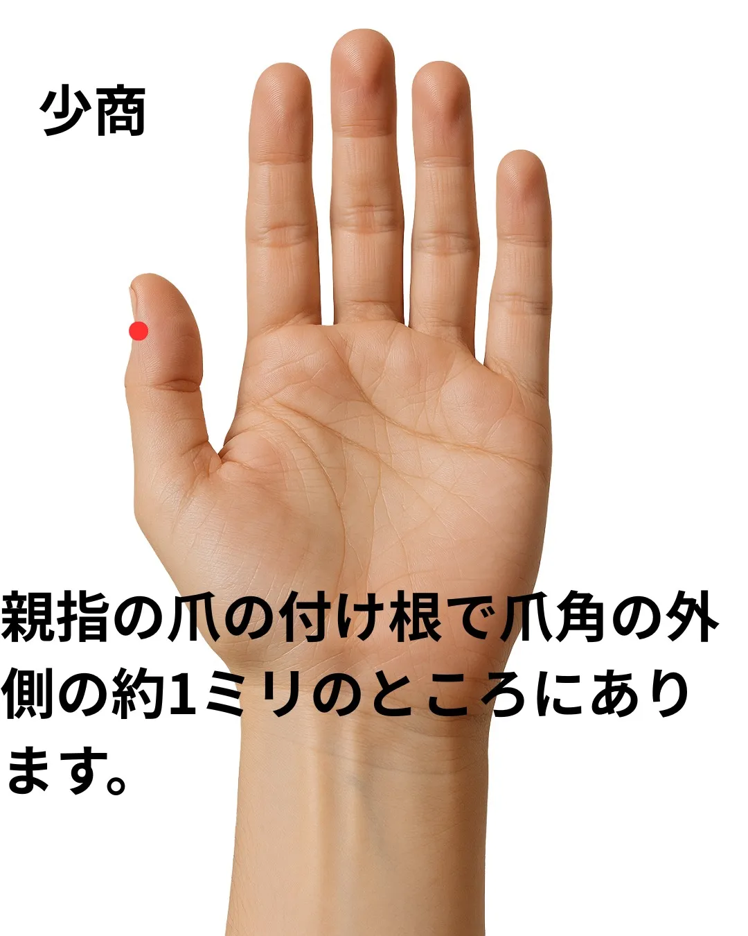 インフルエンザについて
