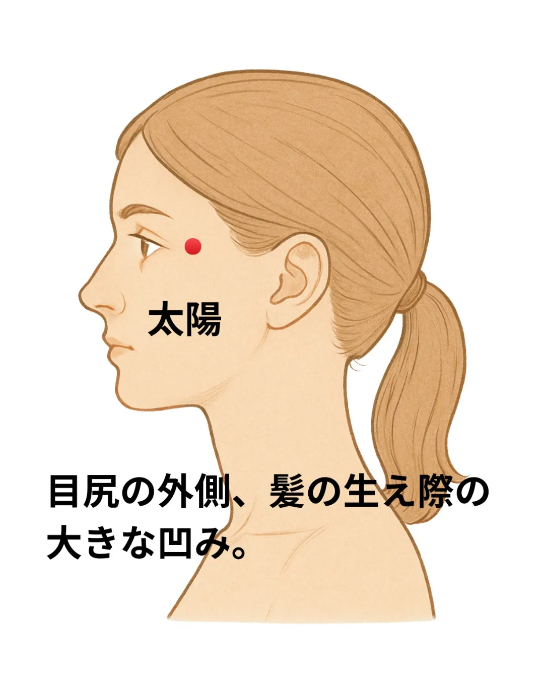 ショボショボする目の疲れについて