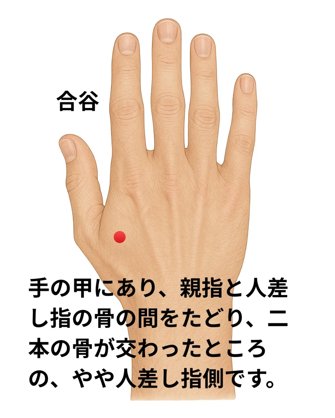 「朝だるい人、それ“自律神経”だけじゃないかも」