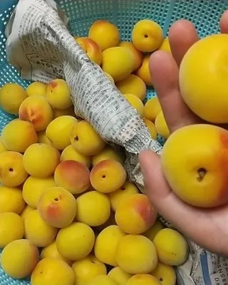 その梅干し、実はすごい！